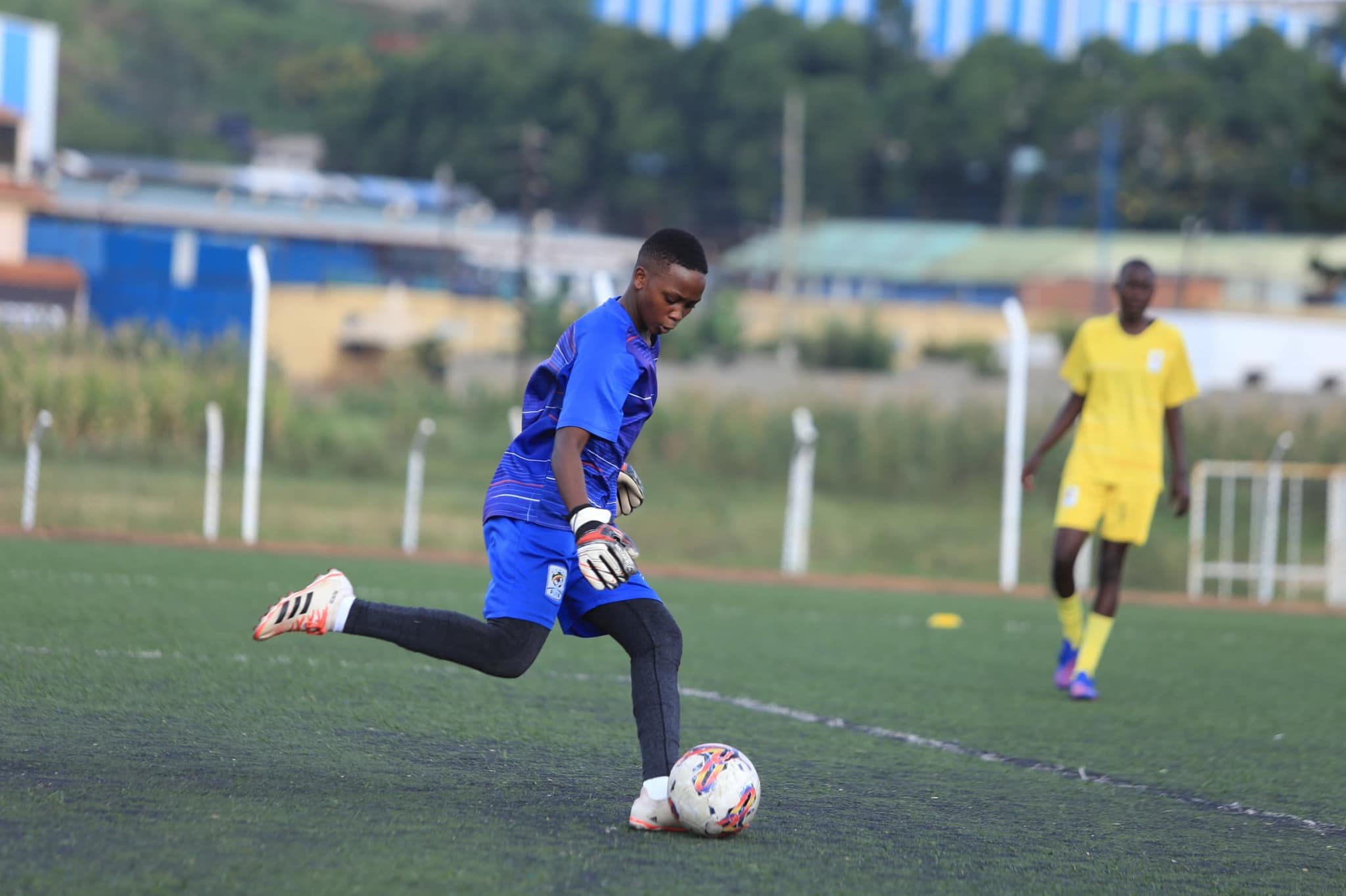 Teen Cranes Teen Cranes