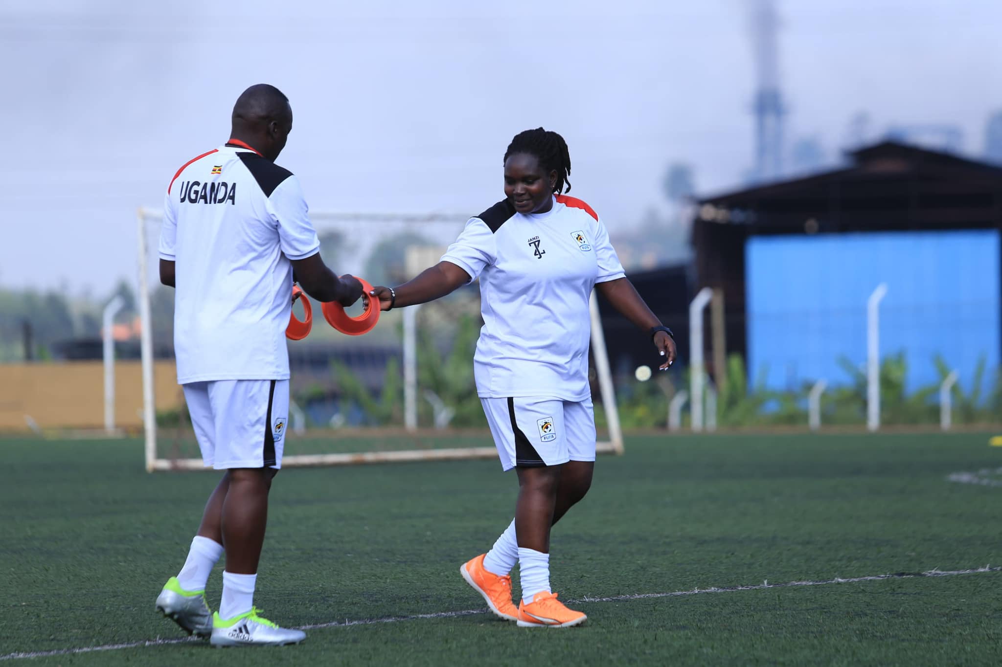 Teen Cranes Teen Cranes