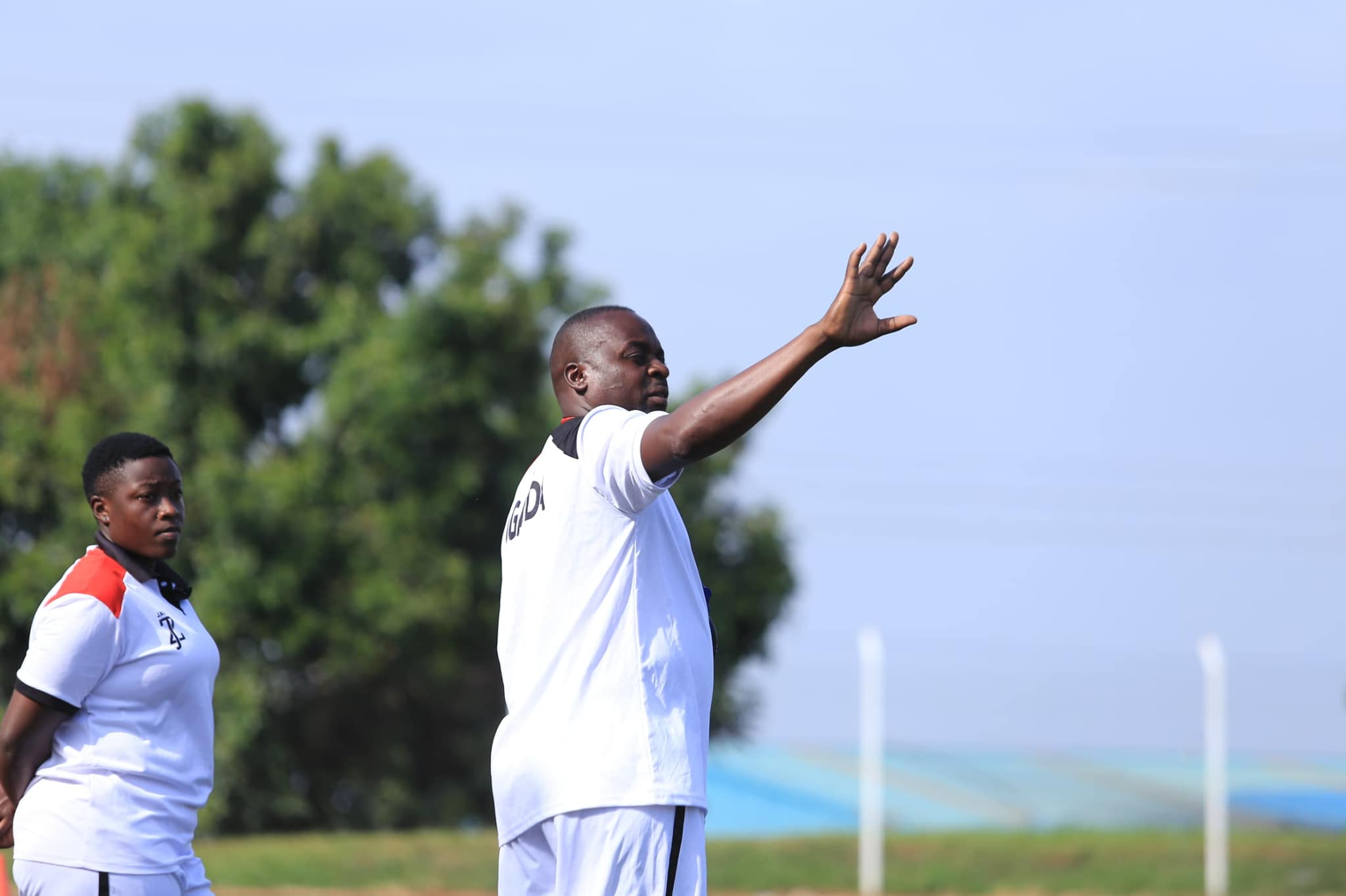 Teen Cranes Teen Cranes