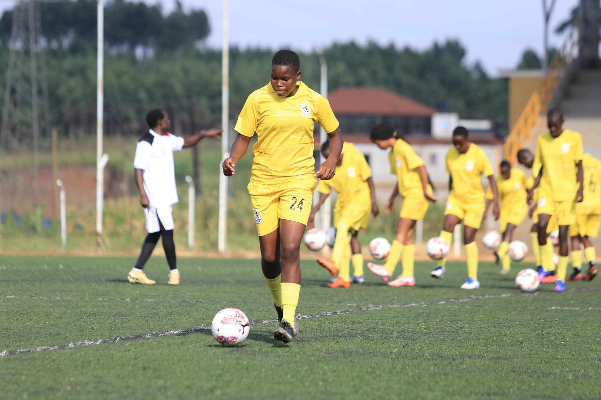 Teen Cranes Teen Cranes