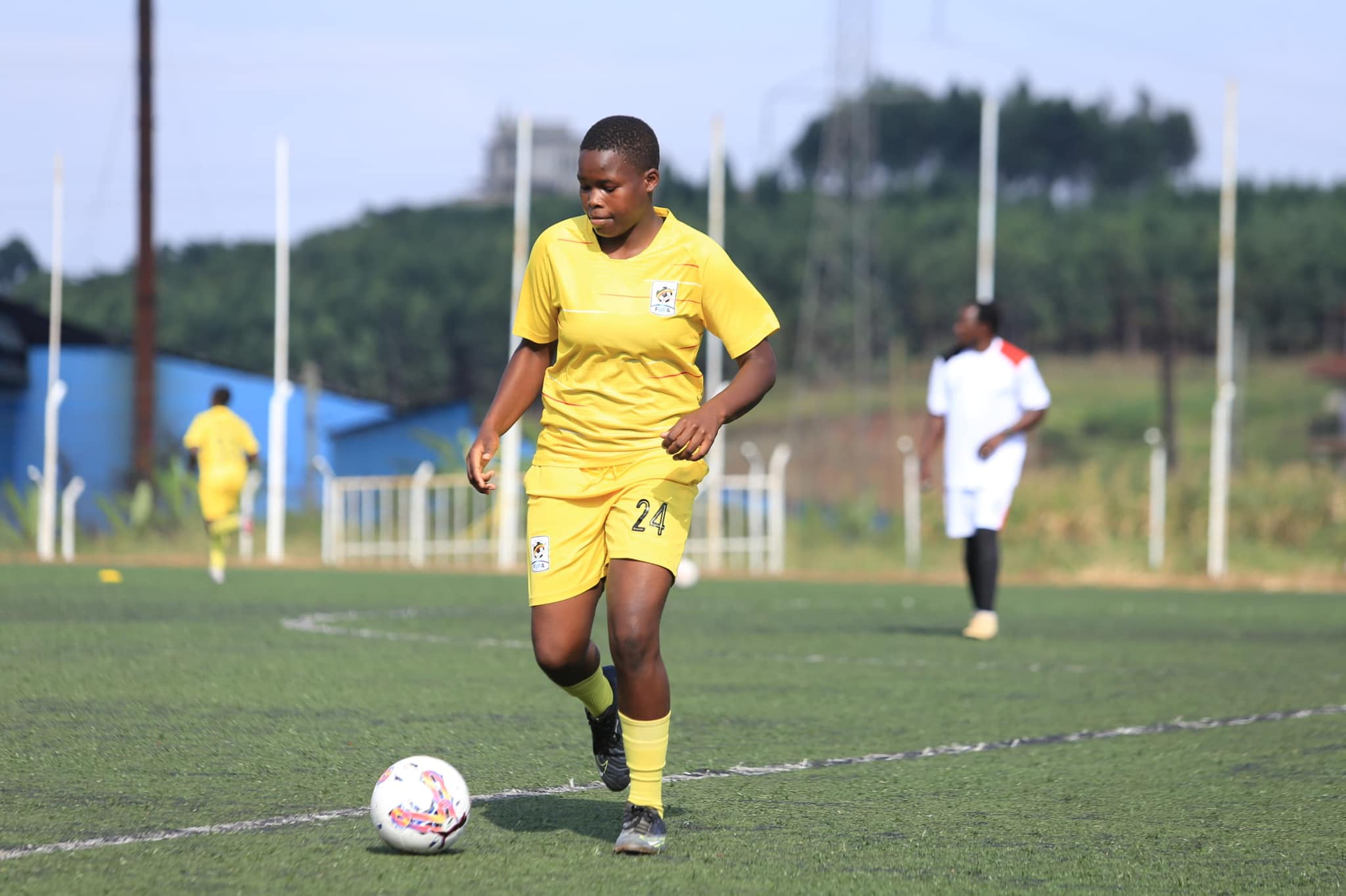 Teen Cranes Teen Cranes