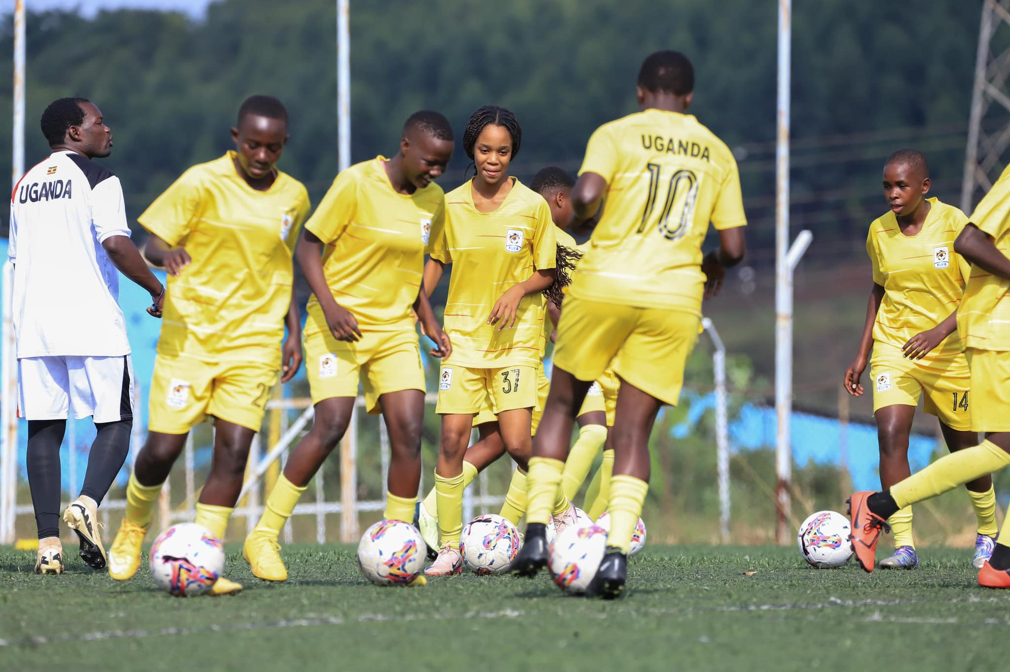 Teen Cranes Teen Cranes