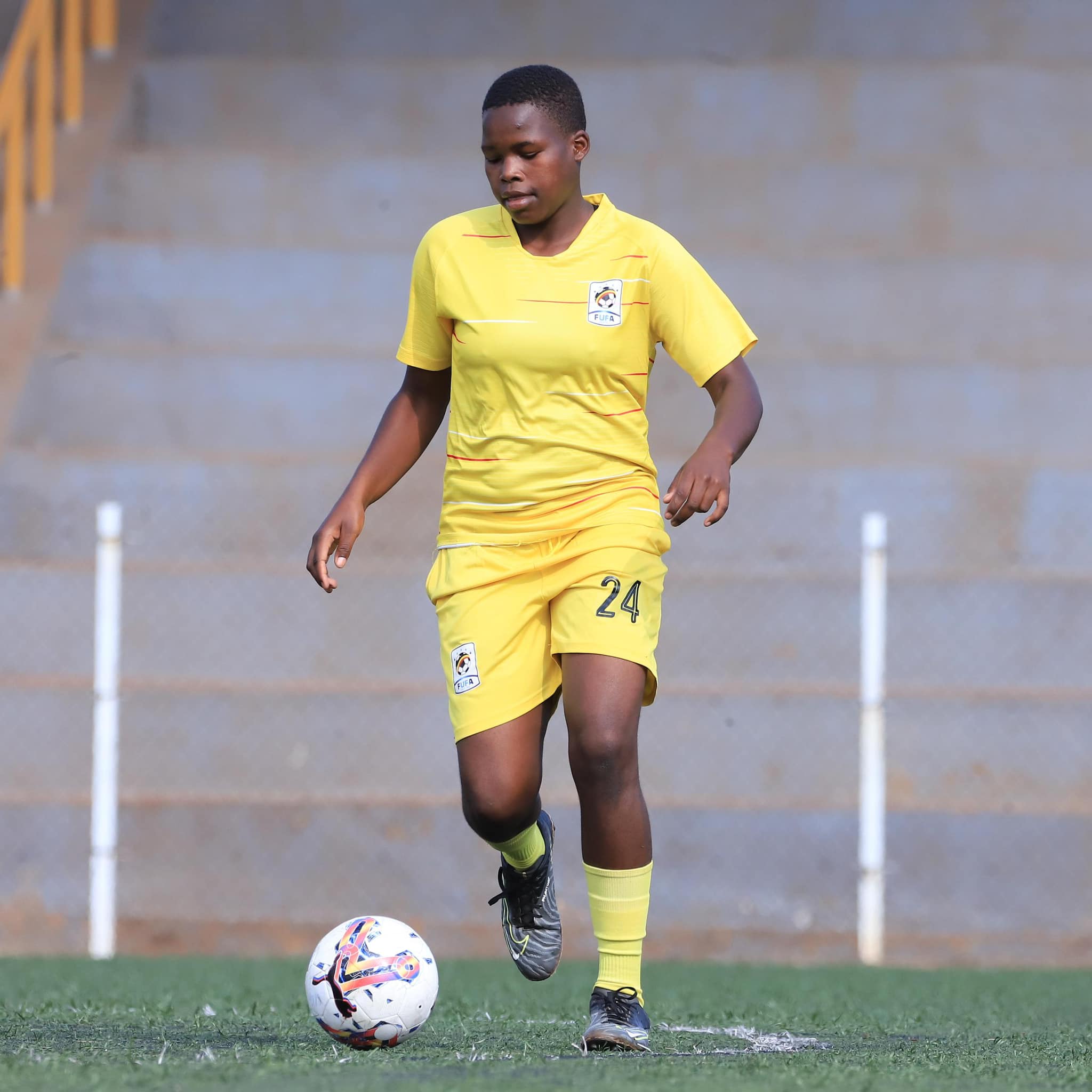 Teen Cranes Teen Cranes