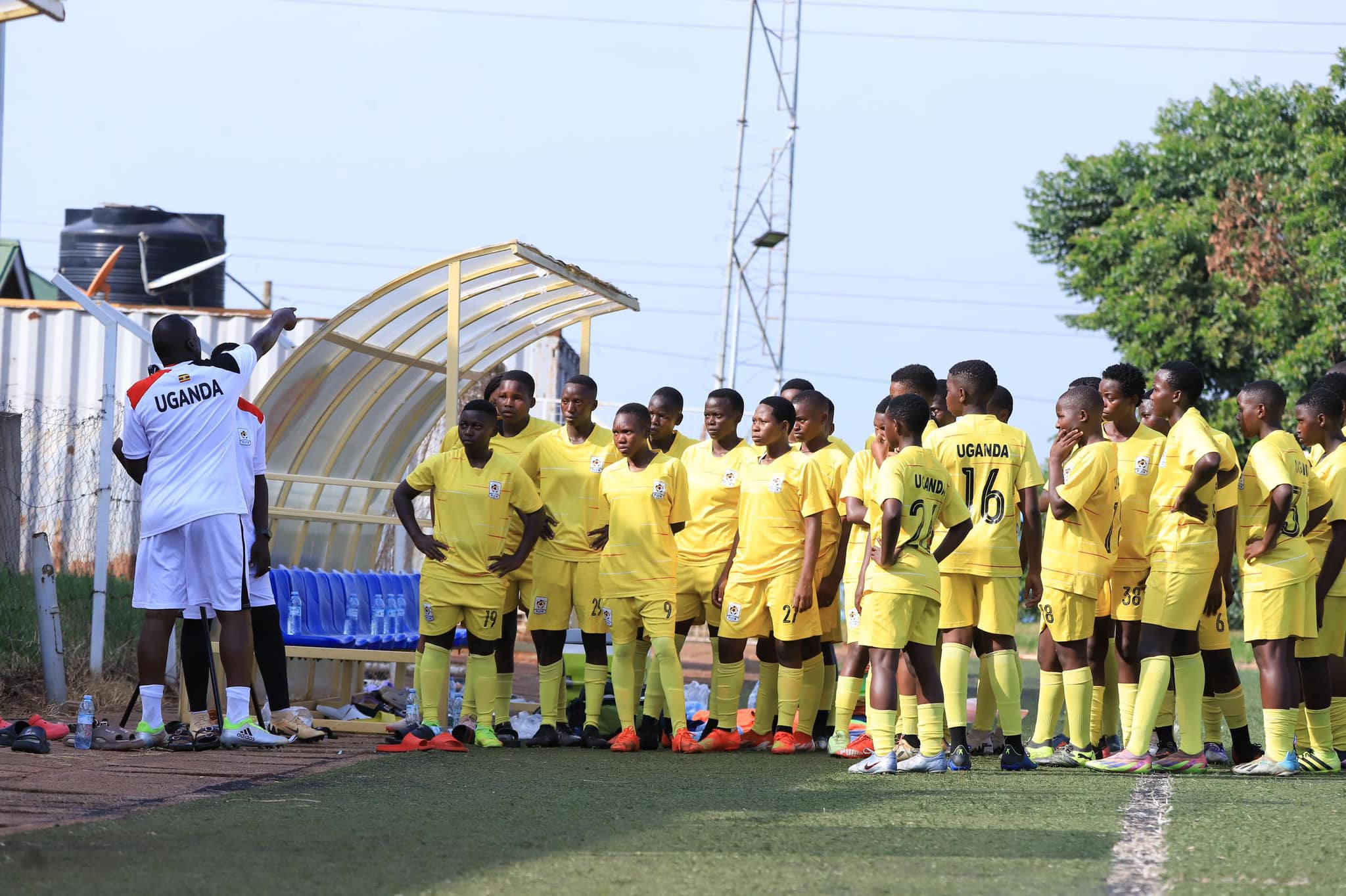 Teen CranesTeen Cranes Teen Cranes