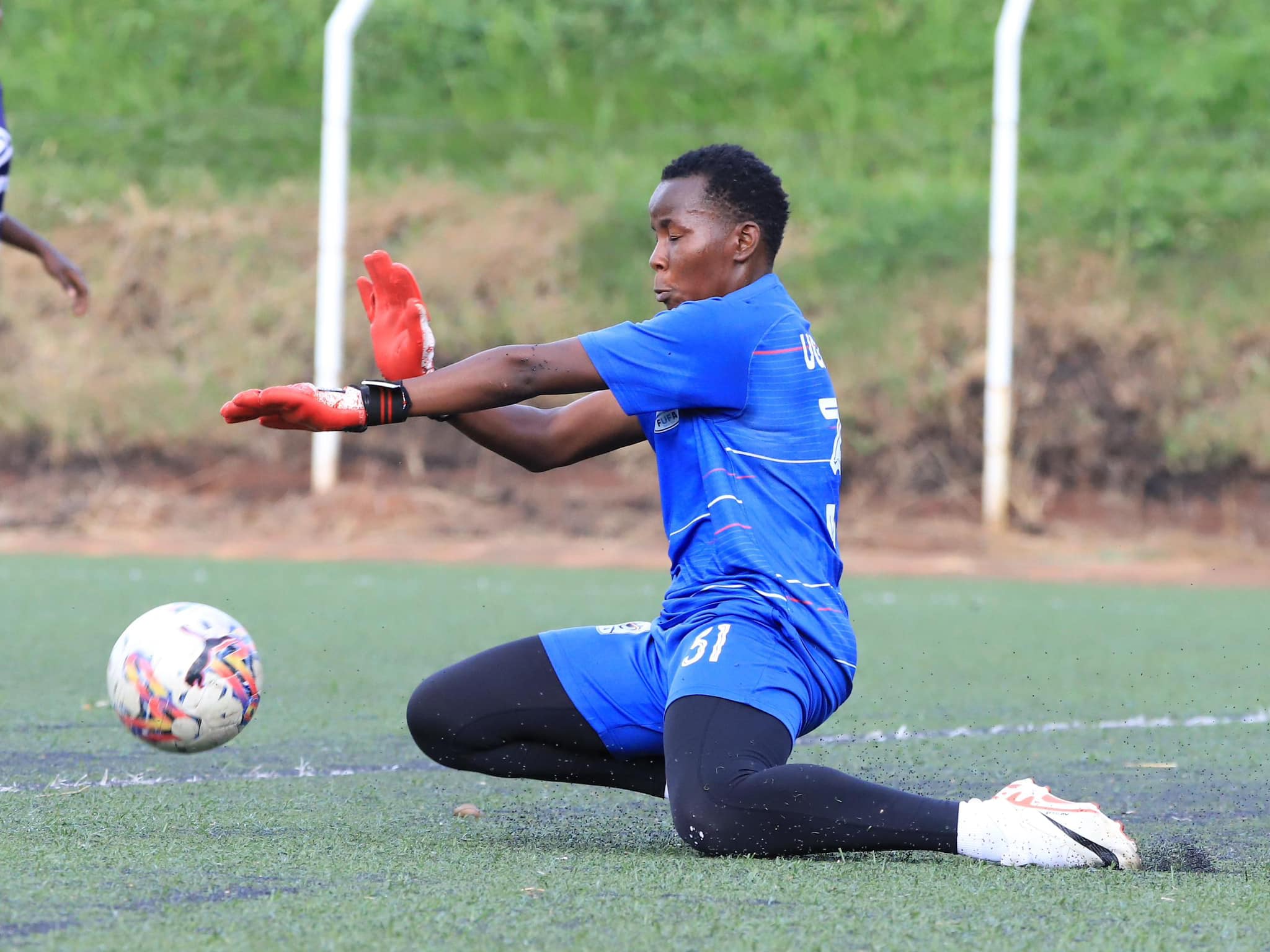 Teen Cranes Teen Cranes