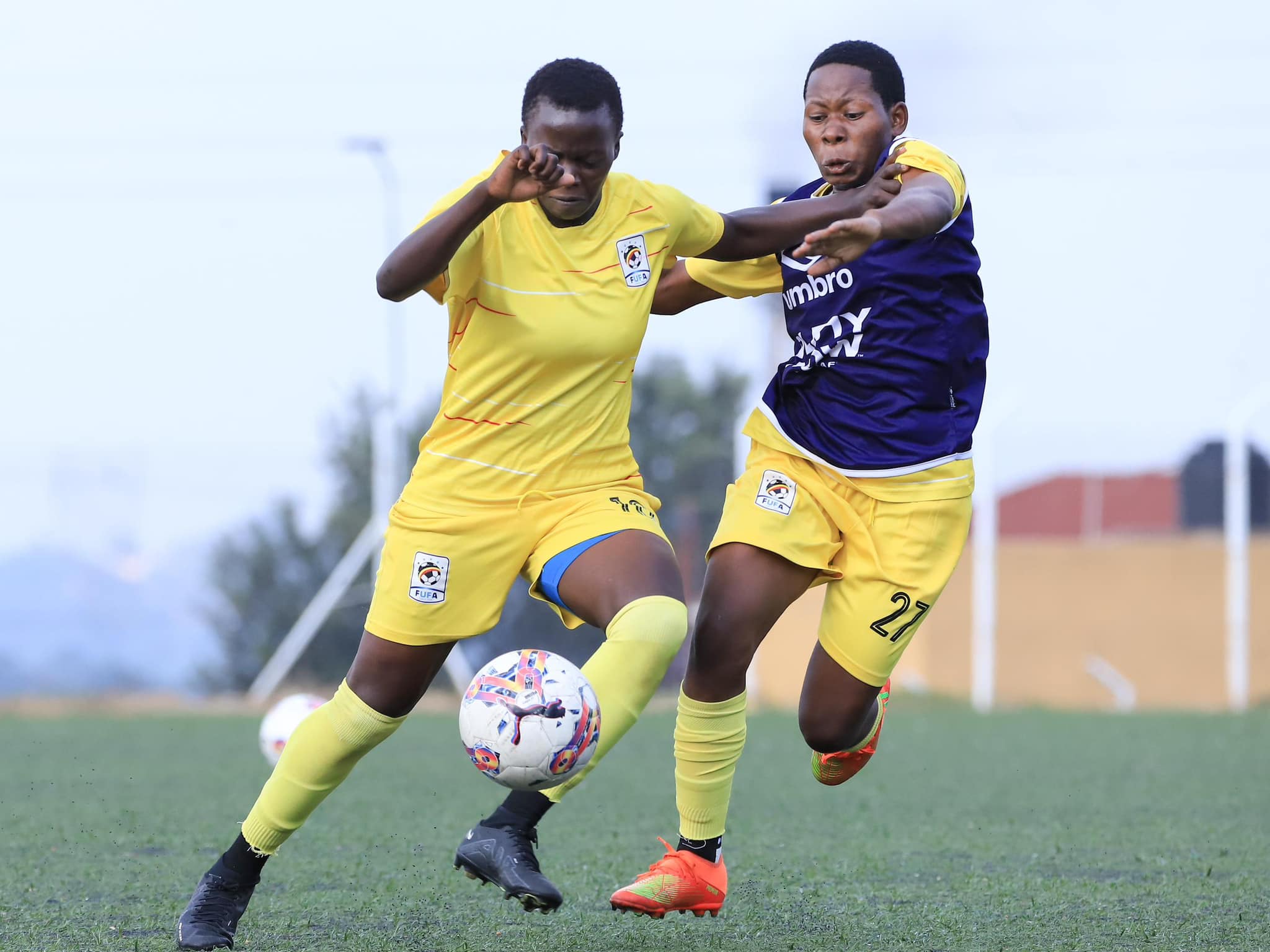 Teen Cranes Teen Cranes