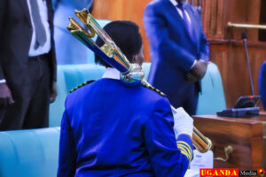 Uganda Energy Efficiency and Conservation Bill